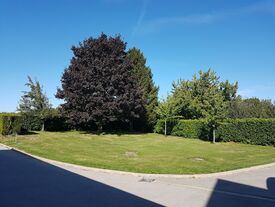 Cour et jardin de l'école de Frémicourt